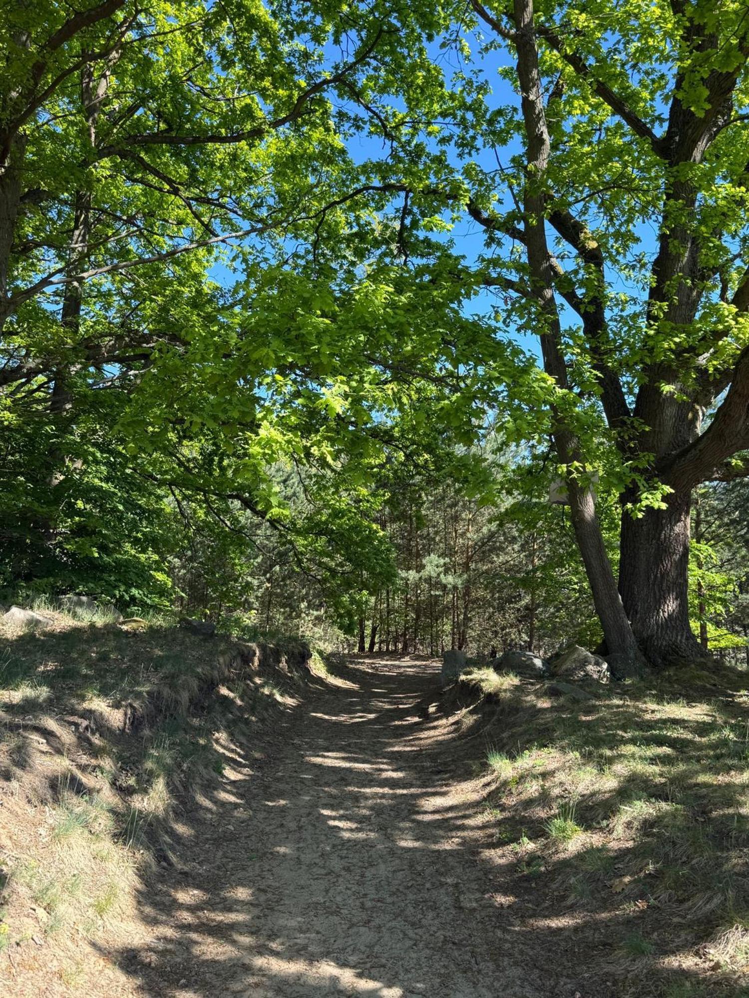 Ferienpark-canow Canow